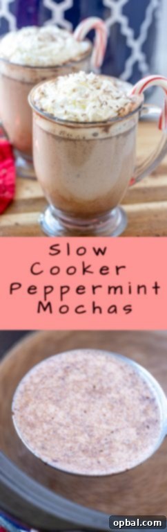 Cozy Slow Cooker Peppermint Mochas 8 A single mug of slow cooker peppermint mocha, richly topped, inviting a delightful sip during the winter season.
