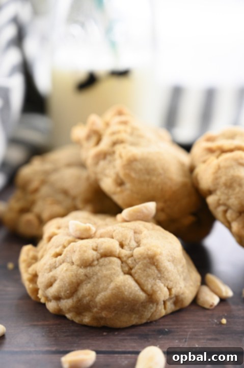Ultimate Double Peanut Butter Bakery Cookies 2 Thick & Chewy Bakery Style Double Peanut Butter Cookies with a gooey center