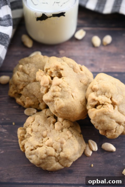 Ultimate Double Peanut Butter Bakery Cookies 3 Easy thick & Chewy Bakery Style Double Peanut Butter Cookies with the perfect gooey center