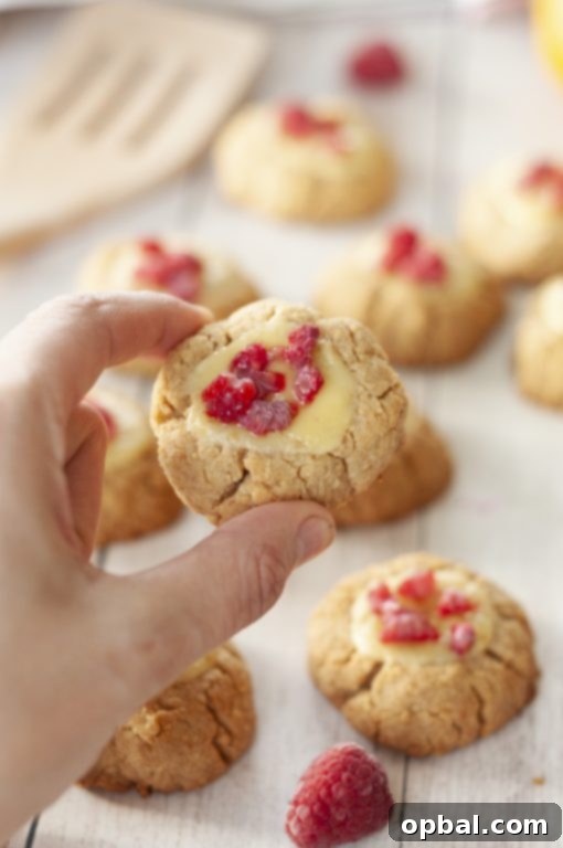 Big Apple Raspberry Cheesecake Bites 3 Easy New York Raspberry Cheesecake Cookies recipe perfect for Valentine's Day or any holiday dessert! Your favorite dessert made into perfectly balanced sweet and tart cookies with fresh raspberries or other fruit on top.