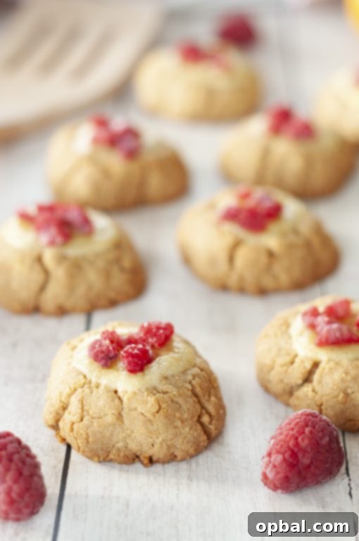 Big Apple Raspberry Cheesecake Bites 4 Easy New York Raspberry Cheesecake Cookies recipe perfect for Christmas, Valentine's Day, Easter dessery, Mother's Day dessert, or any holiday dessert! Your favorite dessert made into perfectly balanced sweet and tart cookies with fresh raspberries or other fruit on top!