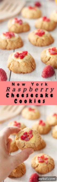Big Apple Raspberry Cheesecake Bites 5 Easy New York Raspberry Cheesecake Cookies recipe perfect for Christmas, Valentine's Day, Easter dessery, Mother's Day dessert, or any holiday dessert! Your favorite dessert made into perfectly balanced sweet and tart cookies with fresh raspberries or other fruit on top!