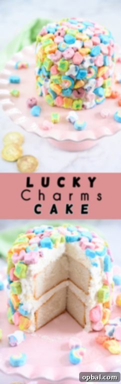 Magical Marshmallow Layer Cake 7 Lucky Charms Layer Cake decorated with various shaped marshmallows and green frosting