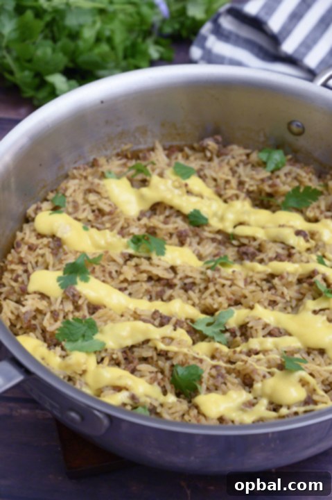 Loaded Skillet Taco Rice with Queso 2 Delicious Skillet Taco Rice with melted Queso, garnished with fresh cilantro, ready for an easy Tex-Mex dinner