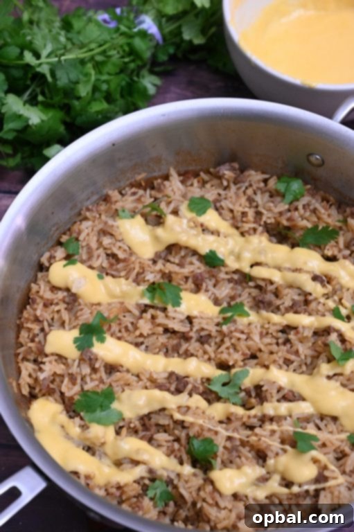 Loaded Skillet Taco Rice with Queso 3 Close-up of creamy Skillet Taco Rice with Queso, showcasing the rich textures and cheesy topping, ideal for a comforting family dinner