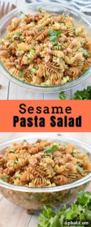 Zesty Sesame Noodle Salad 7 Closeup of Sesame Pasta Salad with a delicious Asian dressing
