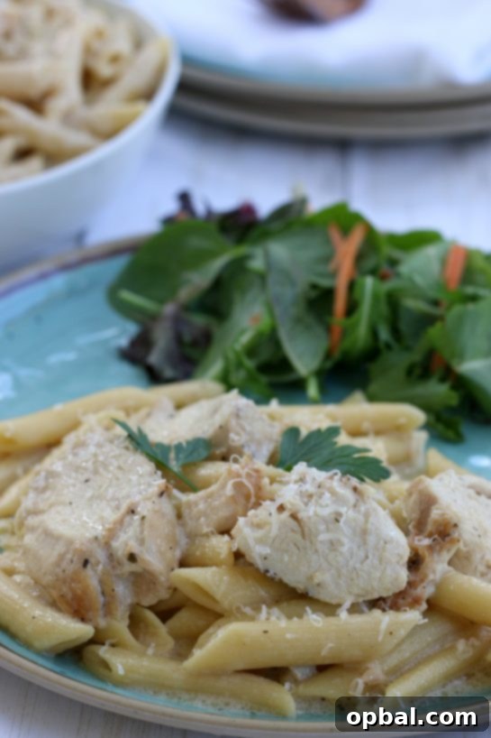Slow Cooker Creamy Chicken Alfredo 12 Chicken Alfredo served over penne pasta.