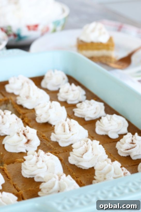 Pumpkin Spice Cheesecake Bars 3 Pumpkin cheesecake bars meticulously cut into individual sized servings and elegantly topped with fresh whipped cream.