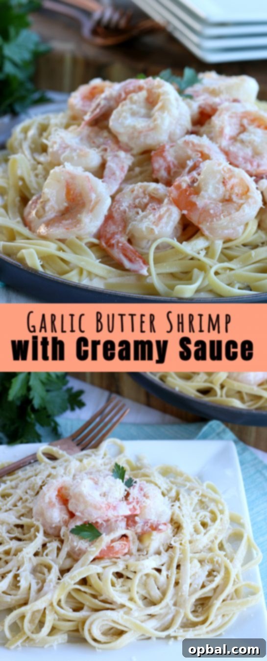An inviting overhead view of a finished plate of creamy garlic butter shrimp, showcasing the succulent shrimp coated in a luscious sauce, ready to be enjoyed.