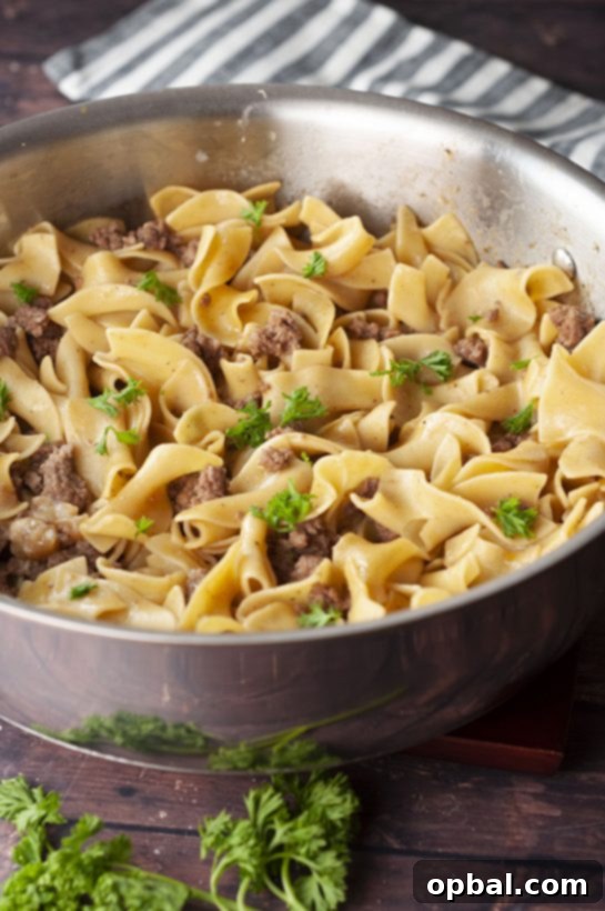 Quick and Creamy Turkey Stroganoff 3 Homemade Ground Turkey Stroganoff: A healthy, fast family dinner option with a rich, delicious gravy.