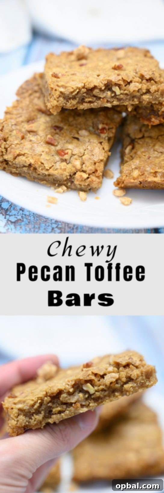 Buttery Pecan Toffee Bars 6 Pecan Toffee Bars for holiday dessert platters, a delightful treat and edible gift idea.