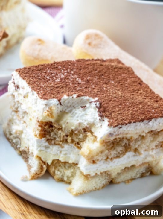Nonna's Heirloom Tiramisu 3 Traditional Tiramisu layers with mascarpone and coffee-soaked ladyfingers.