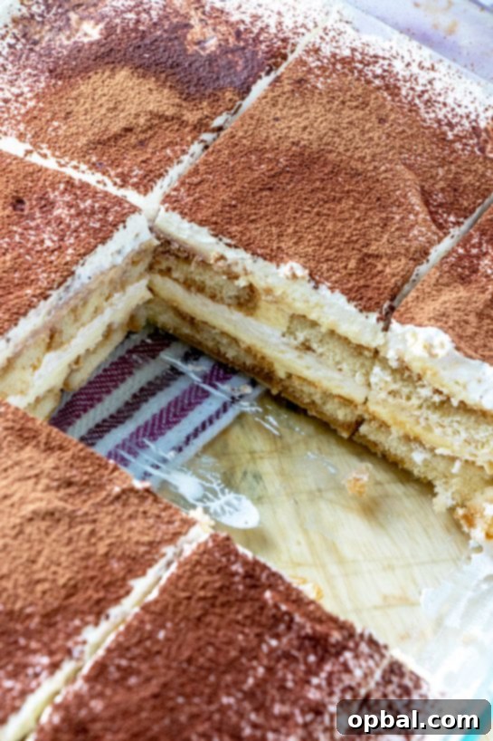 Nonna's Heirloom Tiramisu 4 A slice of traditional Grandma's Tiramisu, showcasing its rich layers.