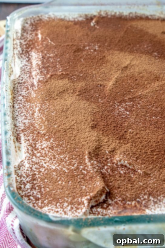 Nonna's Heirloom Tiramisu 6 A full tray of Grandma's Tiramisu, ready for holiday serving.