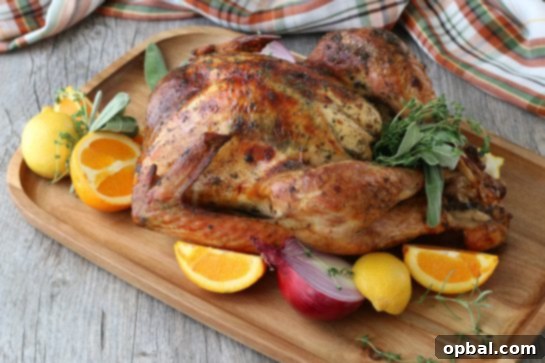 The Ultimate Guide to Brining a Juicy Turkey 11 A horizontal perspective of the finished turkey brine, highlighting its rich color and aromatic ingredients.
