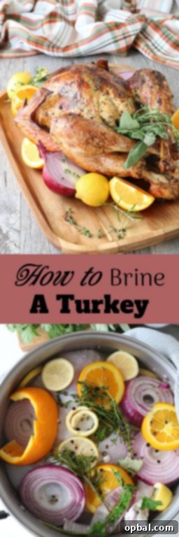The Ultimate Guide to Brining a Juicy Turkey 13 The final majestic image of a brined and roasted turkey, ready to be carved and served.
