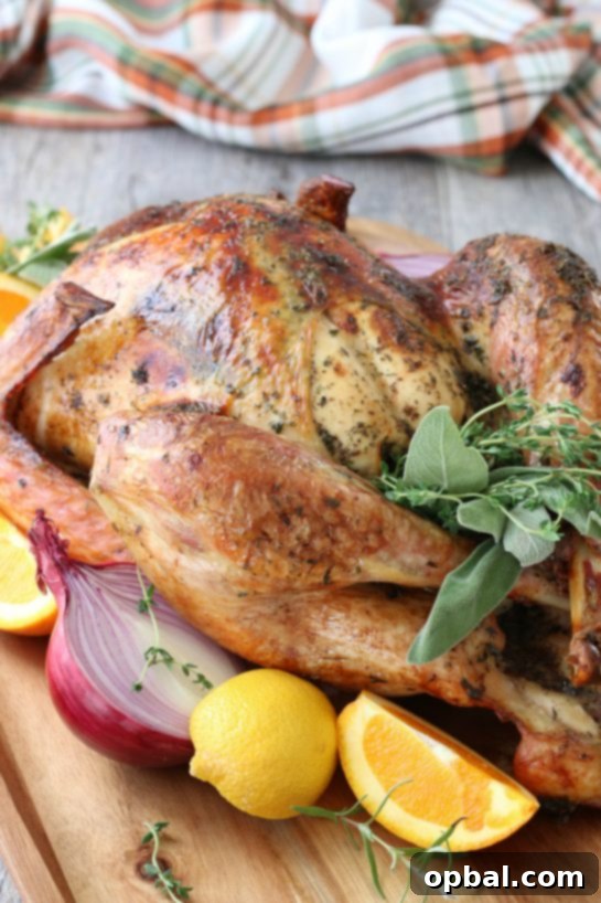The Ultimate Guide to Brining a Juicy Turkey 10 A closer, detailed view of the finished turkey brine recipe, showcasing the rich liquid and infused ingredients.
