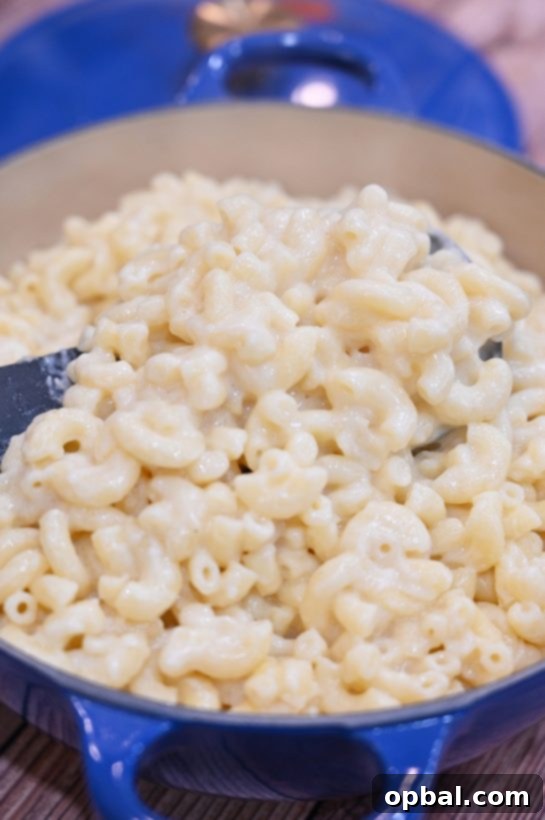 Simple Skillet Macaroni and Cheese 2 Deliciously creamy Stovetop Macaroni & Cheese served in a bowl