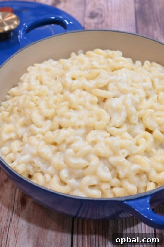 Simple Skillet Macaroni and Cheese 4 Homemade Stovetop Macaroni & Cheese with melted cheddar, garnished with fresh herbs