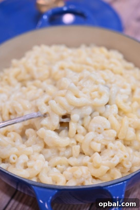 Simple Skillet Macaroni and Cheese 6 Rich and cheesy Stovetop Mac and Cheese, ideal for a quick family dinner or potluck