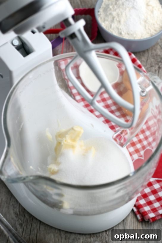 Crafting Edible Love Notes: Decorating Valentine's Conversation Heart Cookies 6 A stand mixer bowl displaying the initial creamy blend of sugar and butter, perfectly aerated, marking the crucial first step in preparing the delightful batter for our decorated sugar cookies.