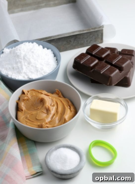 Decadent Chocolate Peanut Butter Eggs 4 All the necessary ingredients for crafting delicious homemade chocolate peanut butter eggs are neatly arranged on a surface, prior to beginning the recipe.