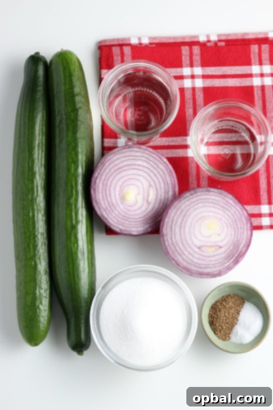 Ingredients needed to make Cucumber Salad, laid out neatly.