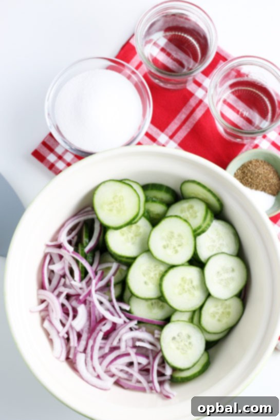 Ready to make the dressing for the cucumber salad, with ingredients prepped.
