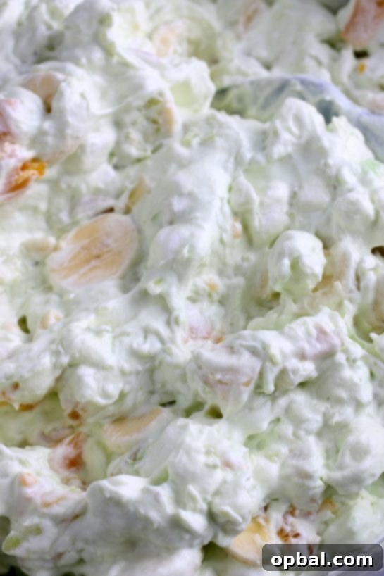 Pistachio Cloud Fruit Ambrosia 16 A vibrant close-up view of the prepared pistachio salad, showcasing its creamy texture, colorful fruit, and mini marshmallows before serving.