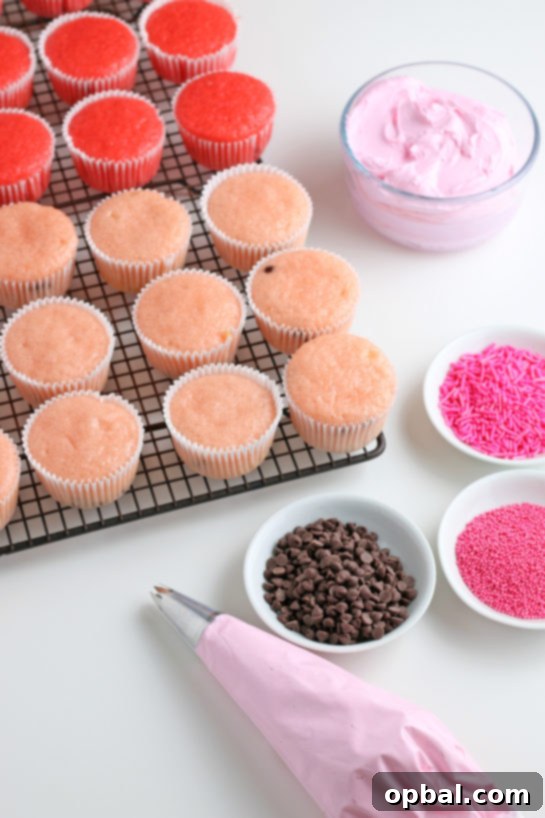 Watermelon Dream Cupcakes 12 About to decorate the baked cupcakes with the buttercream frosting using a piping bag