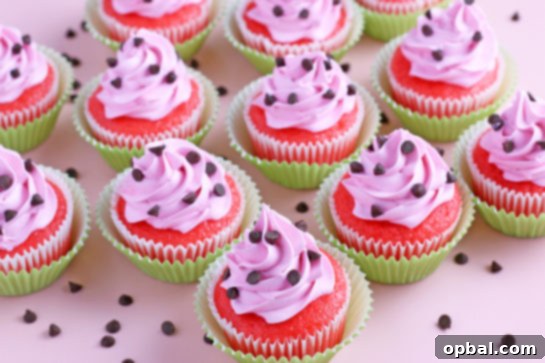 Watermelon Dream Cupcakes 13 Close-up finished shot of the decorated watermelon cupcakes with mini chocolate chips on top