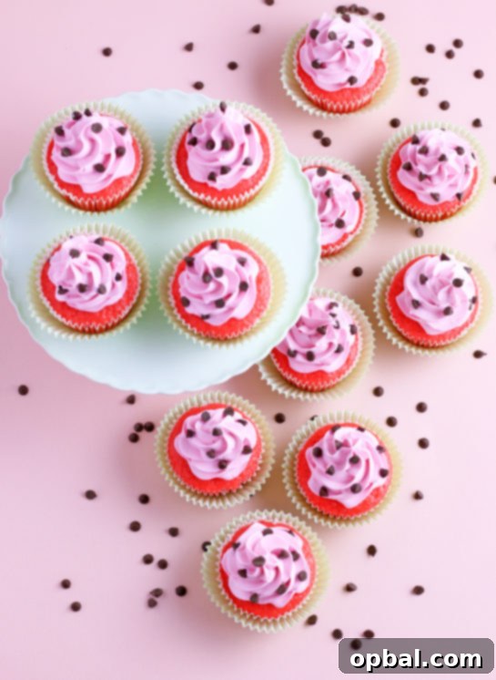 Watermelon Dream Cupcakes 3 Overhead shot of the final product watermelon cupcakes recipe