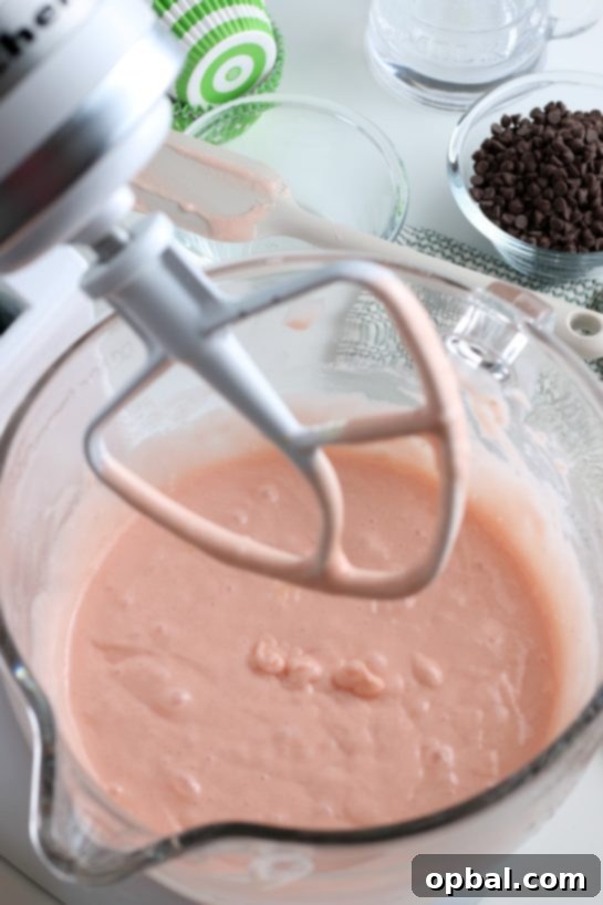 Watermelon Dream Cupcakes 9 Mixing the dry and wet ingredients for the watermelon cupcakes recipe