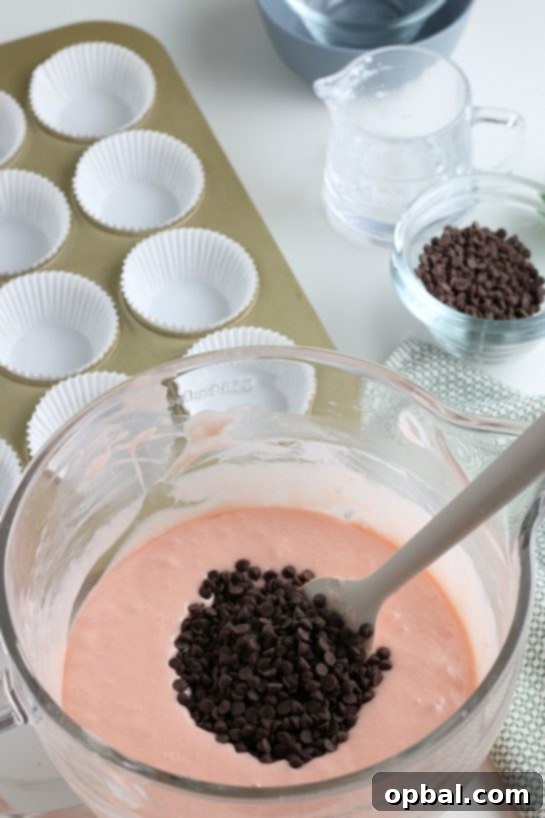 Watermelon Dream Cupcakes 10 Adding the chocolate chips to the watermelon cupcakes batter