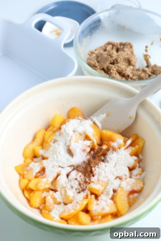 Sun-Kissed Peach Crumble 11 Gently mixing the prepared ingredients with sliced peaches, ensuring even coating for the crisp filling