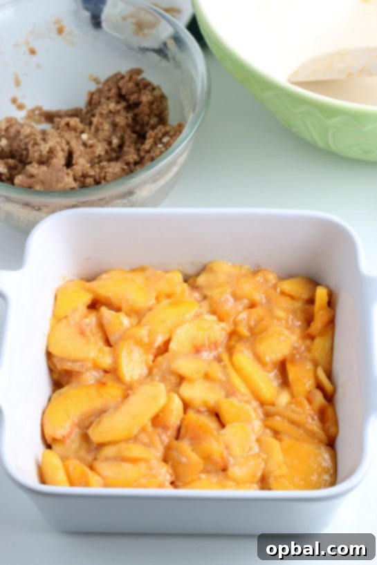 Sun-Kissed Peach Crumble 14 Arranging the seasoned sliced peaches into a baking pan, ready for the crisp topping and oven