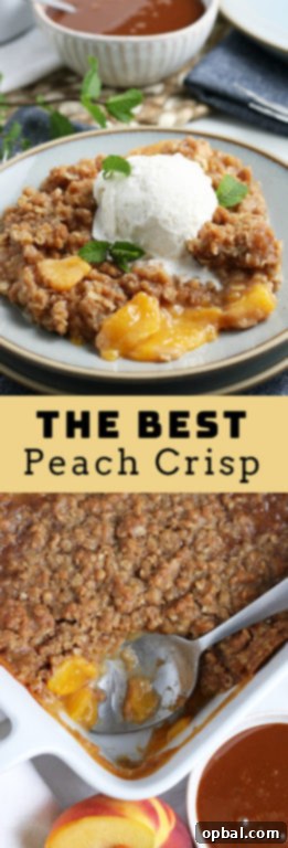 Sun-Kissed Peach Crumble 17 A final, enticing close-up of the best fresh peach crisp, highlighting its perfectly baked topping and rich fruit filling