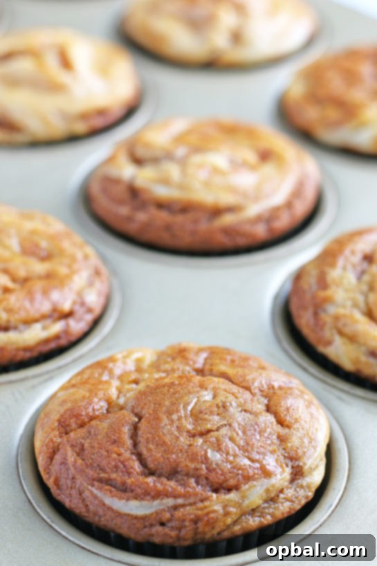 Spiced Pumpkin Cream Cheese Swirl Muffins 18 A batch of Simple Pumpkin Cream Cheese Muffins, perfect for brightening any morning or festive occasion.