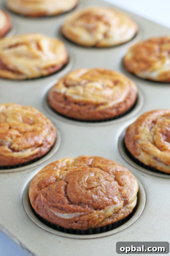 Spiced Pumpkin Cream Cheese Swirl Muffins 3 Closeup of freshly baked Pumpkin Cream Cheese Swirl Muffins, showing off their moist texture and beautiful swirl pattern.