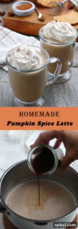 Cozy Autumn Pumpkin Spice Latte 11 Homemade Pumpkin Spice Latte recipe: a coffee drink made with a mix of traditional autumn spices. The combination of coffee with cinnamon is an excellent cool-weather drink for the season!