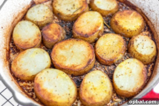 Velvet Roasted Potatoes 13 A hot skillet of braised melting potatoes, freshly removed from the oven.