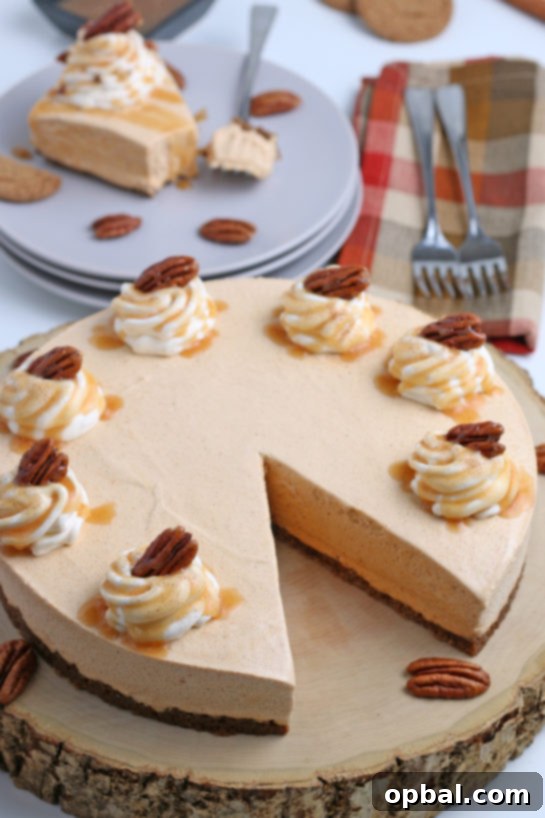Luscious No-Bake Pumpkin Cheesecake 2 A beautifully sliced No-Bake Pumpkin Cheesecake with a gingersnap crust, ready to be served for Thanksgiving or Christmas.