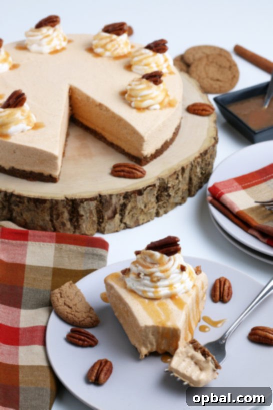 Luscious No-Bake Pumpkin Cheesecake 11 The fully assembled and chilled No-Bake Pumpkin Cheesecake, topped with whipped cream and a sprinkle of cinnamon, ready to impress at any holiday gathering.
