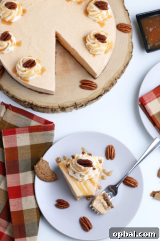 Luscious No-Bake Pumpkin Cheesecake 13 Overhead view of the decadent No-Bake Pumpkin Cheesecake, topped with whipped cream and fall spices, perfect for any festive gathering or family meal.