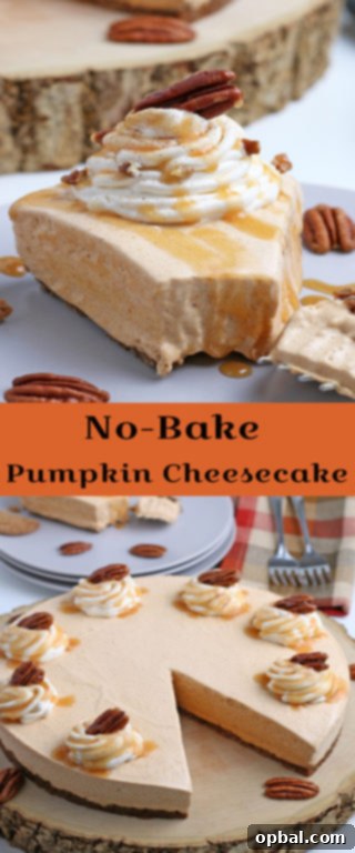 Luscious No-Bake Pumpkin Cheesecake 14 A stunning side view of the tall and inviting No-Bake Pumpkin Cheesecake, showcasing its beautiful layers and festive toppings, ready to serve.