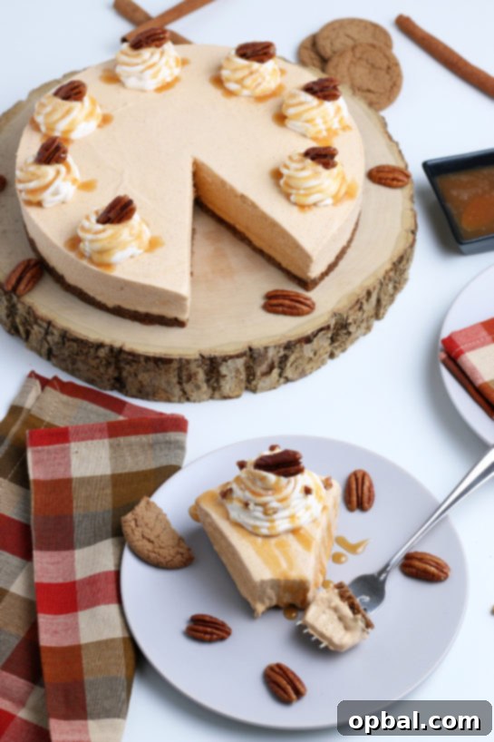 Luscious No-Bake Pumpkin Cheesecake 3 Close-up of the smooth, creamy No-Bake Pumpkin Cheesecake filling with a crisp gingersnap crust, a perfect holiday treat for festive occasions.