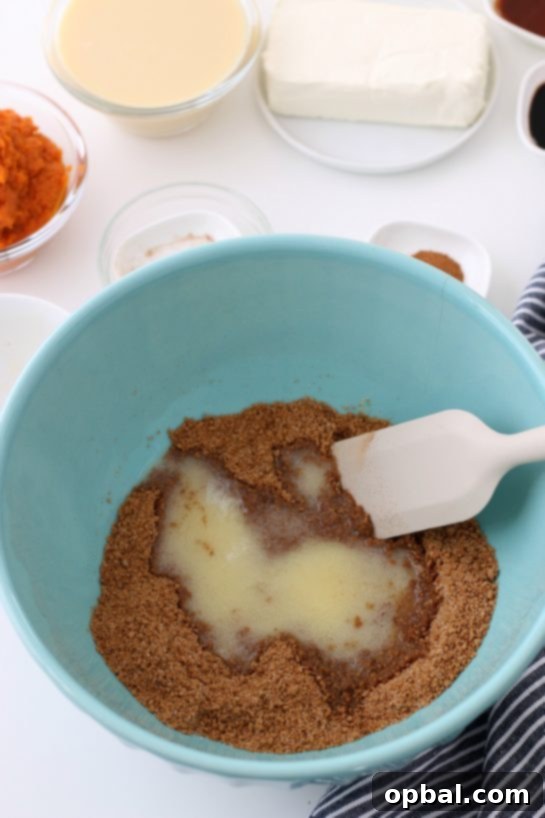 Luscious No-Bake Pumpkin Cheesecake 7 Preparing the base of the No-Bake Pumpkin Cheesecake by pressing the gingersnap and butter mixture into the springform pan.