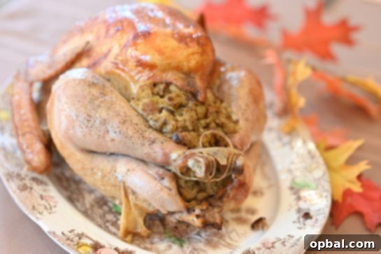 The Ultimate Classic Stuffed Turkey 4 A whole Classic Stuffed Turkey centerpiece on a holiday dining table, garnished with herbs.
