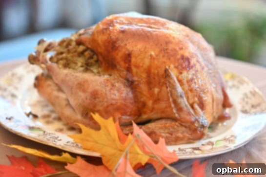 The Ultimate Classic Stuffed Turkey 5 A side view of a roasted turkey, showcasing its rich color and delicious stuffing.