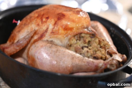 The Ultimate Classic Stuffed Turkey 7 A detailed shot of the perfectly cooked stuffing spilling from a roasted turkey.